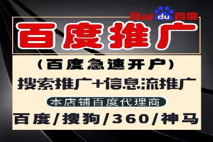 案例研究：百度竞价广告投放效果